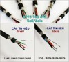 Cáp tín hiệu RS485 1 pair 22AWG vặn xoắn chống nhiễu