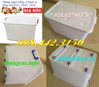 Thùng nhựa có bánh xe dung tích 60L, 90L, 120L, 140L và 220L giá rẻ