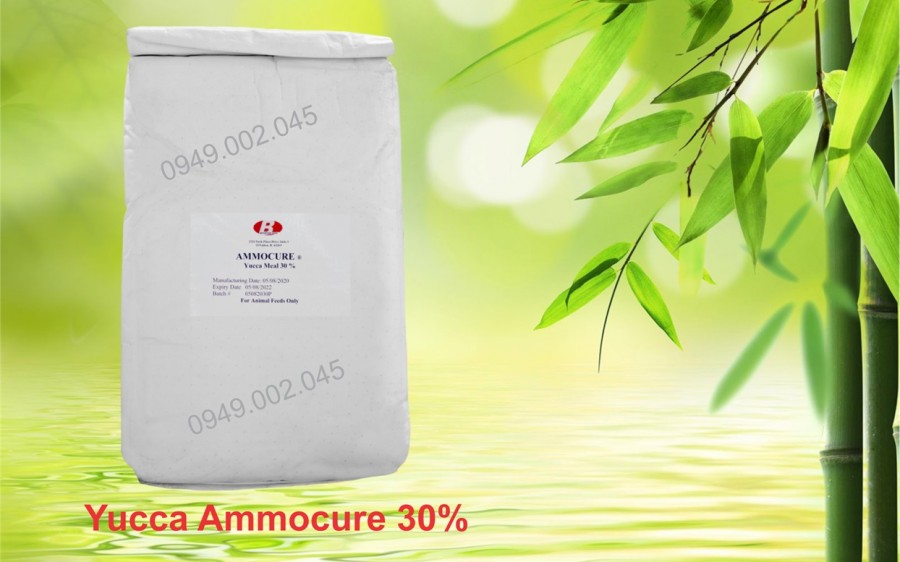 Yucca Ammocure 30 - Yucca bột cho tôm cá, nhập khẩu Mỹ-image-3