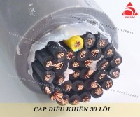 Phân phối cáp điều khiển Altek Kabel 30 lõi