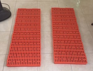 sàn nhựa chăn nuôi gia cầm, gia súc ảnh 2