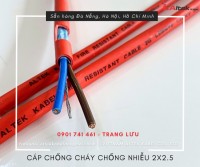 Cáp chống cháy chống nhiễu 2x2.5mm2