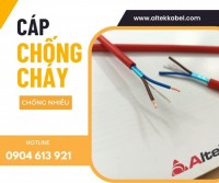 Cáp chống cháy chống nhiễu Altek Kabel 2 lõi