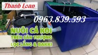 Thùng nhựa chữ nhật 750L 1 lớp nuôi cá, thùng nhựa 750L 2 lớp rẻ.