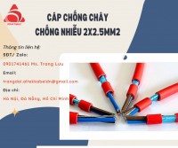 Dây tín hiệu 2x2.5mm2 chống cháy, chống nhiễu Altek Kabel