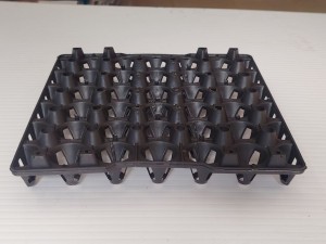 vỉ trứng 30 quả tại xưởng ảnh 2