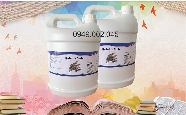 HERBALIV FORTE - Bổ gan thảo dược cao cấp dạng nước-image-3