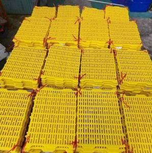 sàn chăn nuôi, sàn nhựa