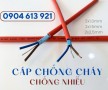 Cáp tín hiệu chóng cháy chống nhiễu xoắn 1 pair 16AWG