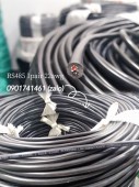 Cáp RS 485 1 pair 22awg ( 2 lõi vặn xoắn 0.34mm)