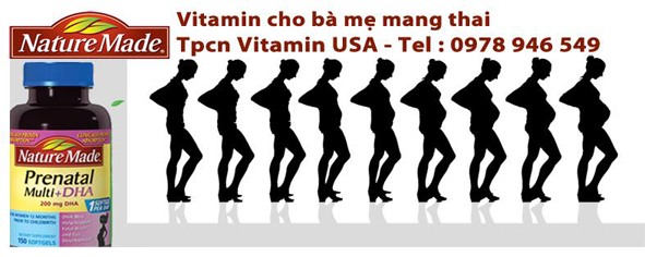 Vitamin Cho Bà Bầu Nature Made Prenatal + Dha - Banner